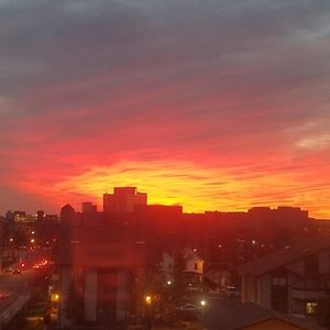 Meet your Posher, Deidre